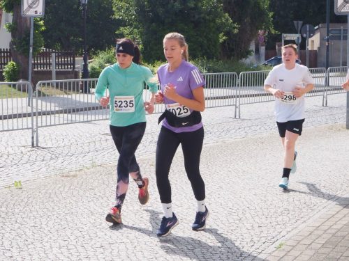 P5250994 - bearbeitet