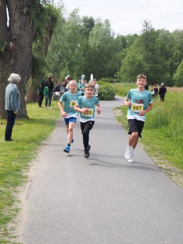 P5251328 - bearbeitet