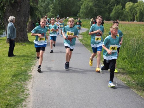 P5251342 - bearbeitet