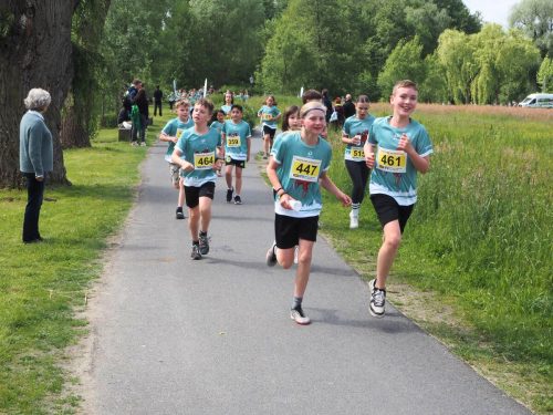 P5251360 - bearbeitet