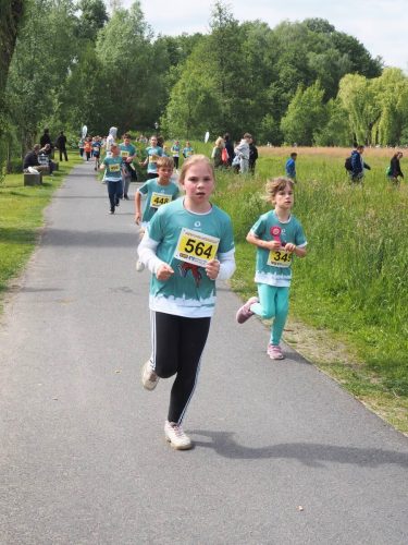 P5251363 - bearbeitet