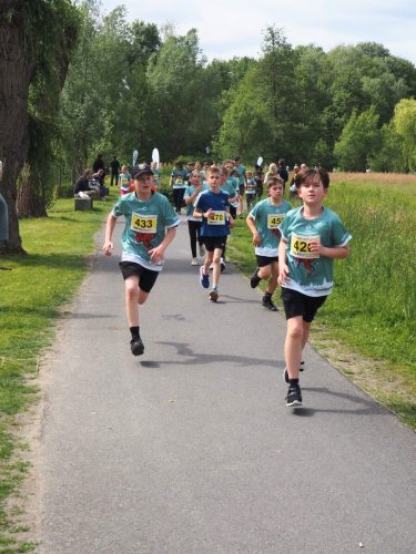 P5251369 - bearbeitet