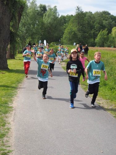 P5251376 - bearbeitet