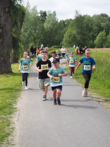 P5251409 - bearbeitet