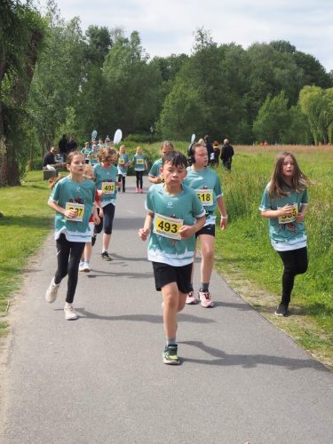 P5251416 - bearbeitet