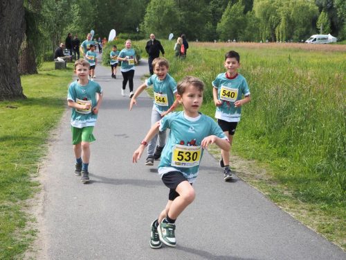 P5251426 - bearbeitet