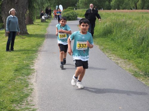 P5251429 - bearbeitet