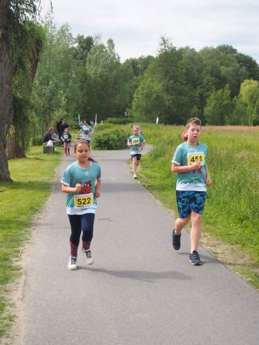 P5251433 - bearbeitet