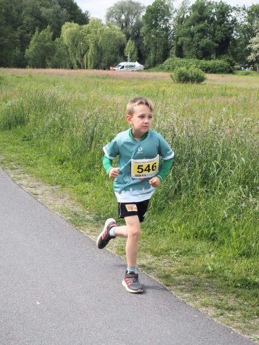 P5251438 - bearbeitet