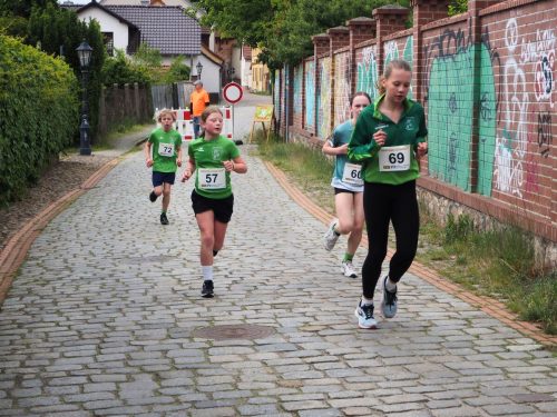 P5251458 - bearbeitet