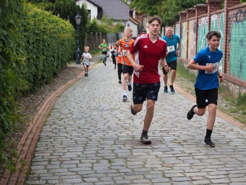 P5251464 - bearbeitet