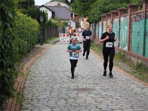 P5251507 - bearbeitet