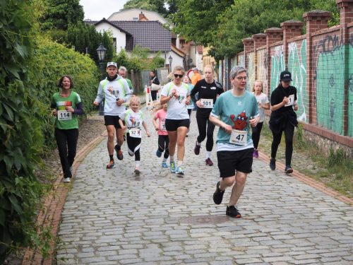 P5251538 - bearbeitet